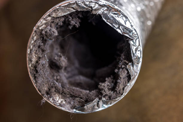 Best Dryer Vent Cleaning Services  in Riverwoods, IL